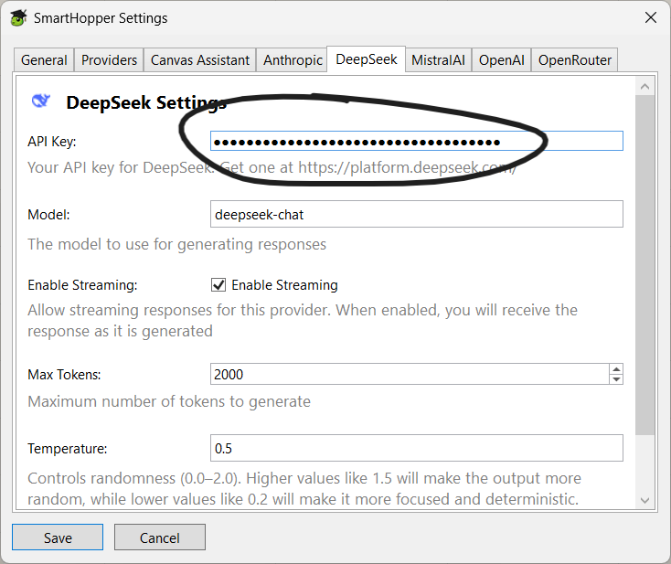 DeepSeek Settings