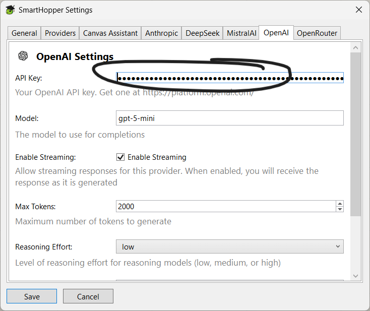 OpenAI Settings